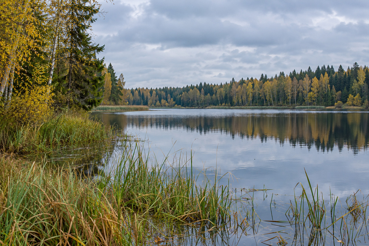 Leningrad Region lake