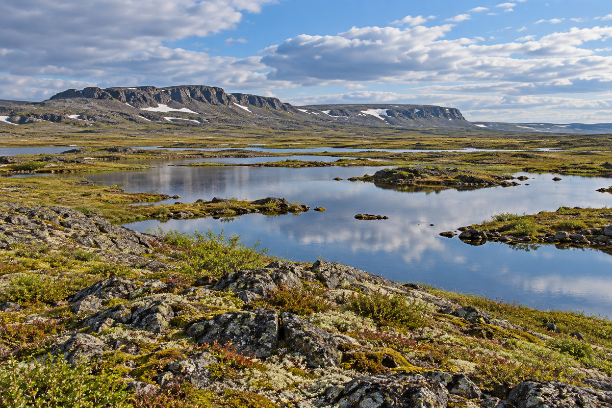 Typical Norilsk tundra