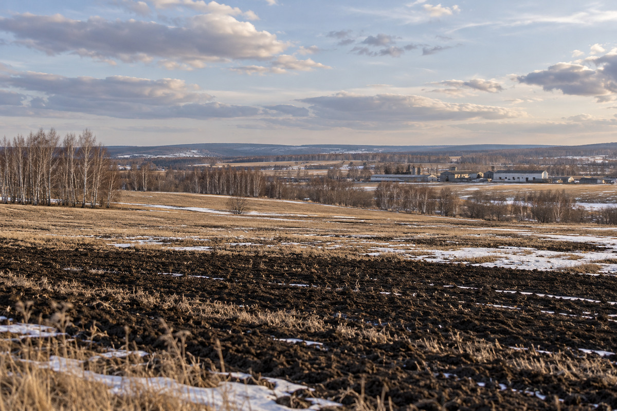 Agricultural landscape in Russia’s Chelyabinsk region